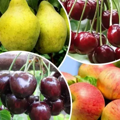 Комплект НАСЛАЖДЕНИЕ в Жодино