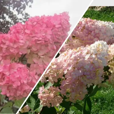 Комплект МНОГОГРАННОСТЬ в Жодино