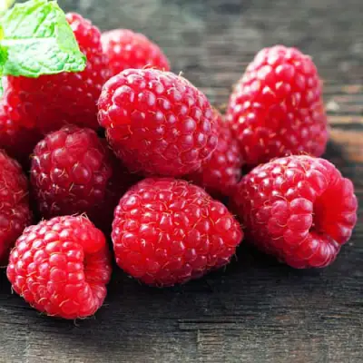 Малина ЭРИКА в Жодино