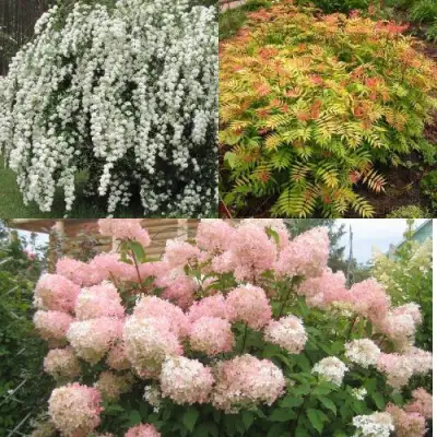 Комплект ФЕЙЕРВЕРК ЛЕТА в Жодино