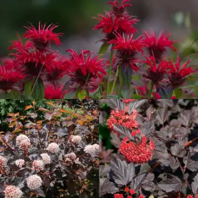 Комплект ОГНЕННЫЙ МИКС в Жодино