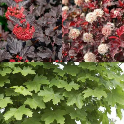 Комплект ОСЕННИЙ КОСТЕР в Жодино