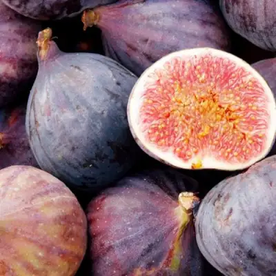 Инжир МУАССОН в Жодино