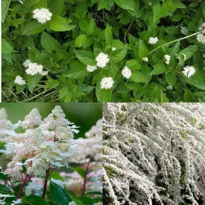 Комплект СКАНДИНАВСКИЙ СТИЛЬ в Жодино