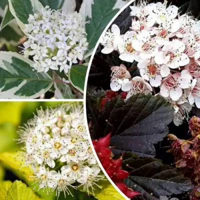 Комплект ЯРКАЯ ВСПЫШКА в Жодино