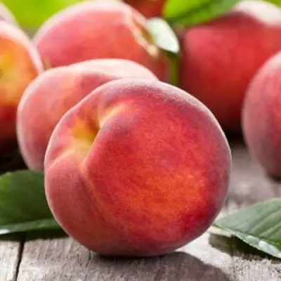 Персик МАЙСКИЙ ЦВЕТОК в Жодино