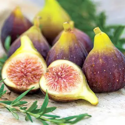 Инжир НИКИТСКИЙ в Жодино