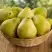 Груша ВИЛИЯ в Жодино