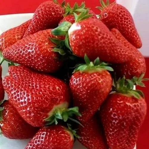 Клубника БРИЛЛА  Клубника БРИЛЛА в Жодино