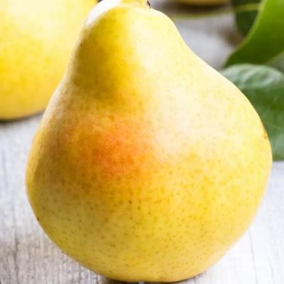 Желтая в Жодино