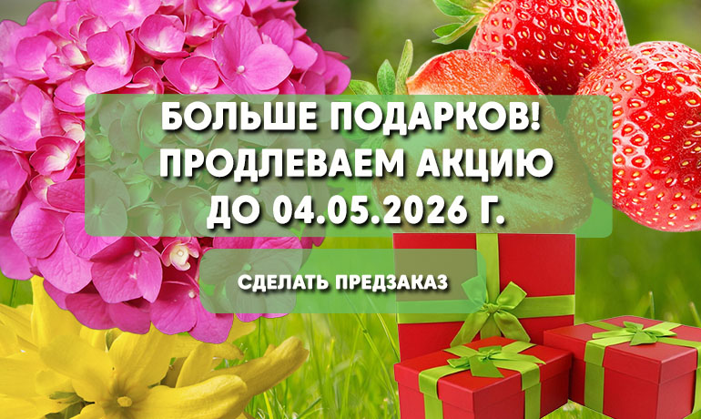 Акция: 2 подарка всместо 1, при оформлении заказа до 04.05.2026 Акция: 2 подарка всместо 1, при оформлении заказа до 04.05.2026