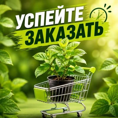 УСПЕЙТЕ ЗАКАЗАТЬ УСПЕЙТЕ ЗАКАЗАТЬ в Жодино