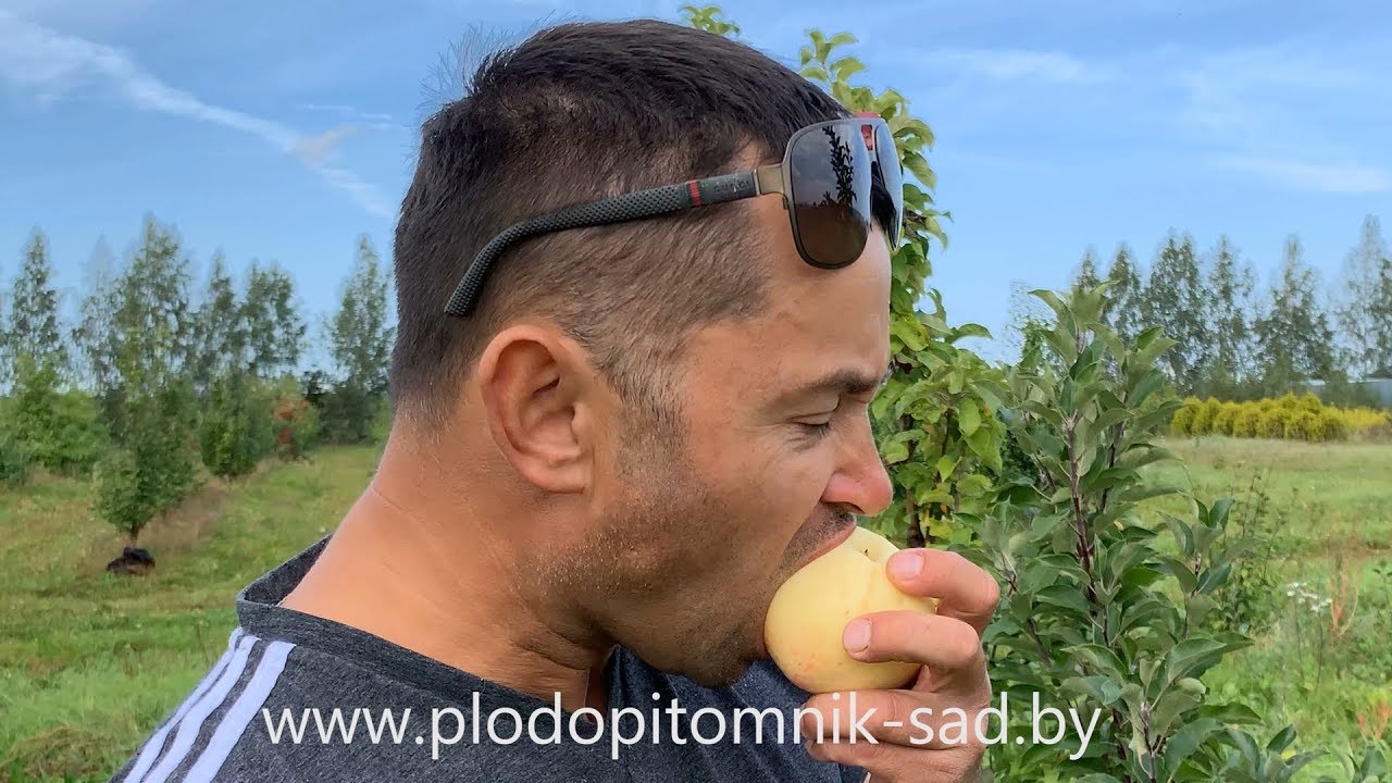 Превью видео