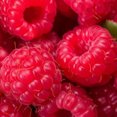 Красная в Жодино