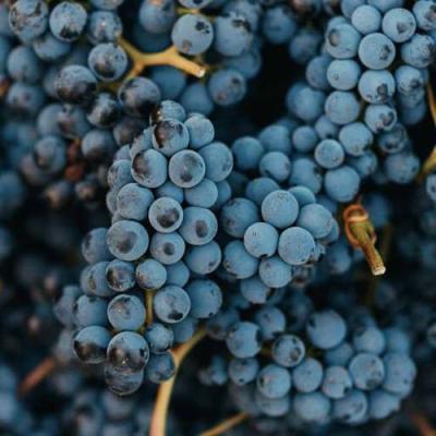 Технический в Жодино