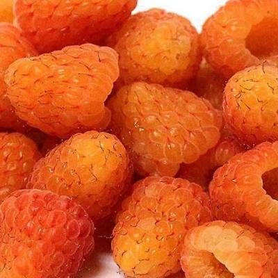 Оранжевая в Жодино